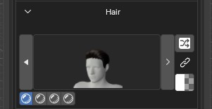 Hair preview with shuffle, link and color icons